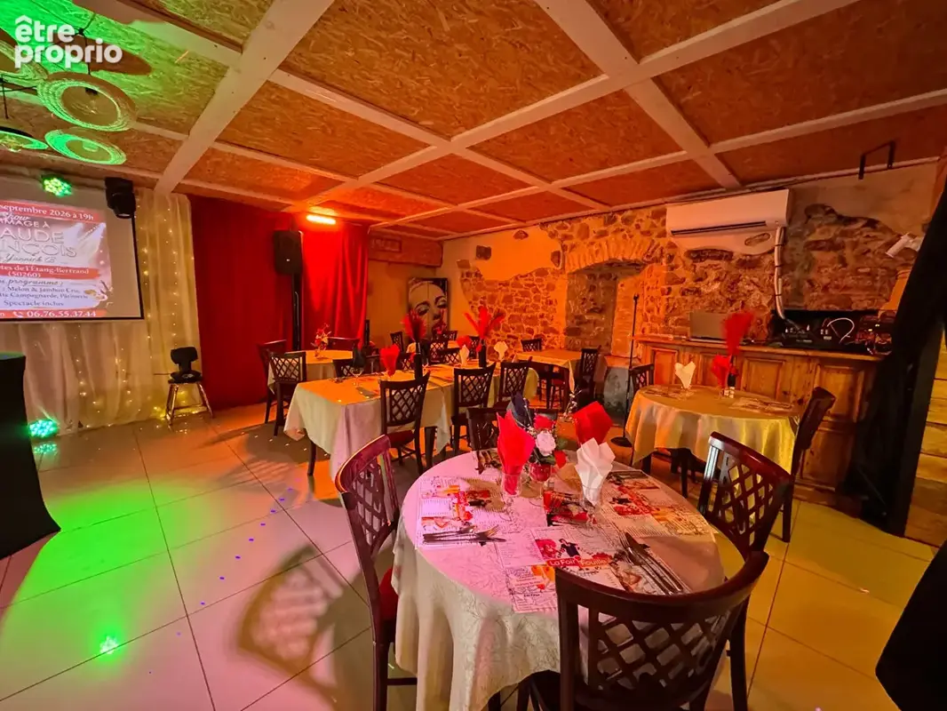 Ancien moulin avec salle de spectacle et habitation, au bord de la Douve, Ag. du Donjon. - photo 3
