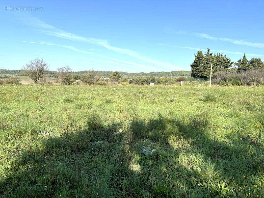 Terrain à TAVERNES