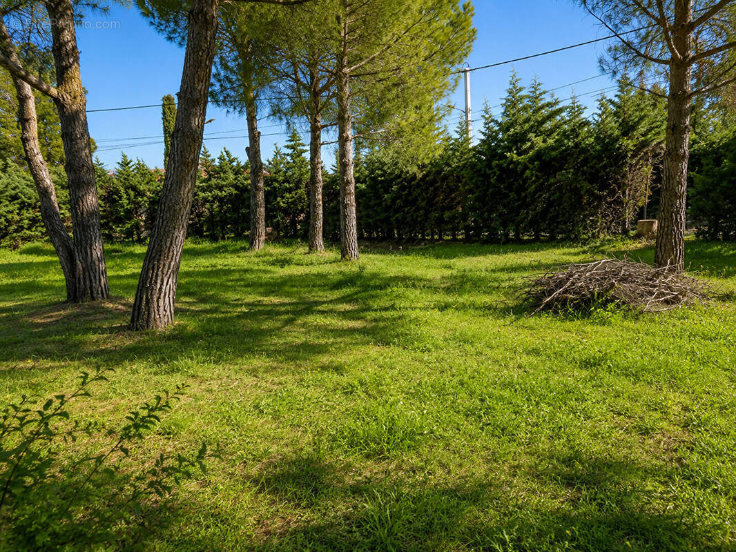 Terrain à MONTESQUIEU-DES-ALBERES