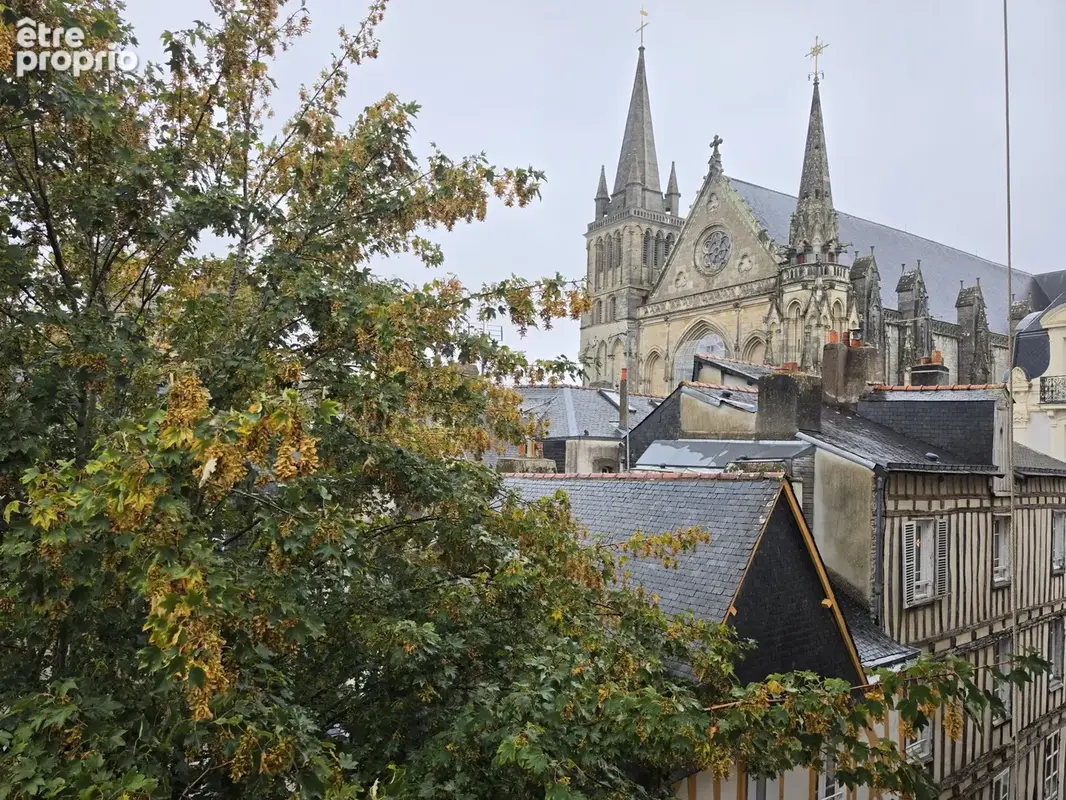 Appartement d'exception - Centre historique de Vannes - photo 14