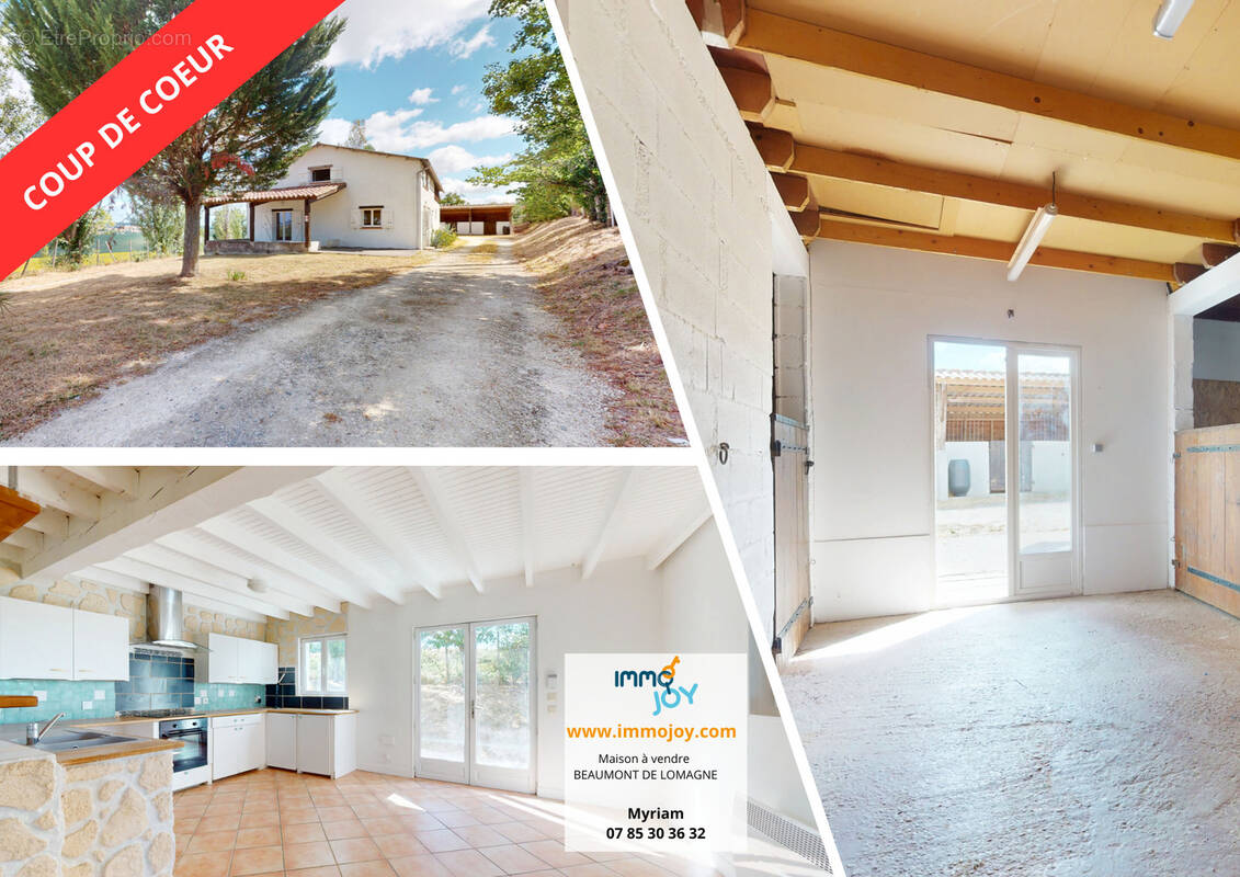 Maison à BEAUMONT-DE-LOMAGNE