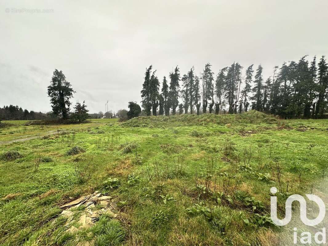 Photo 5 - Maison à CONCARNEAU