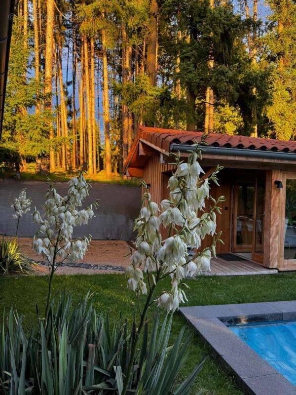 Maison à LA FOUILLOUSE