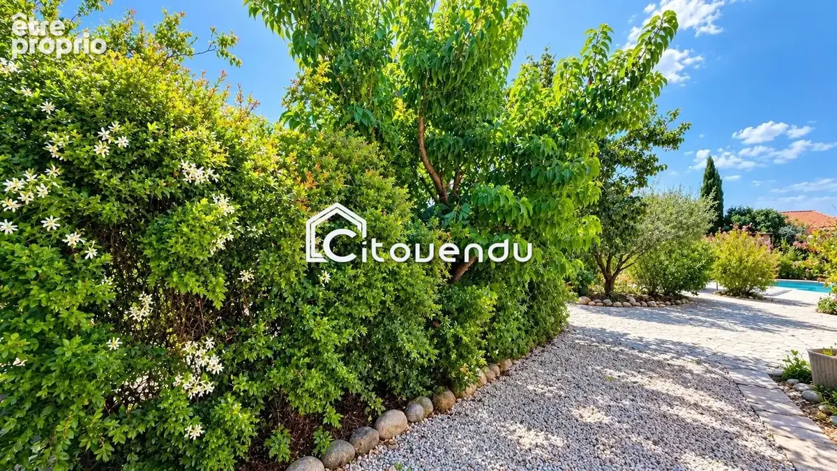 Maison 8 pièces 185 m² à vendre à Montesquieu-Des-Alberes (66740) - photo 7