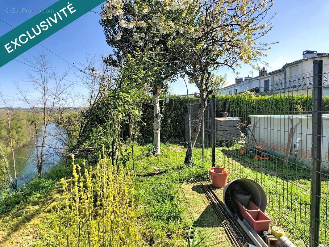 Photo 3 - Maison à ALBI