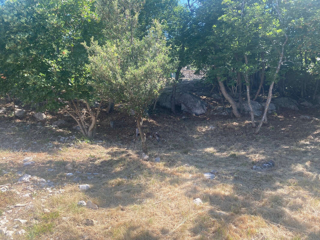 Terrain à SAINT-VALLIER-DE-THIEY