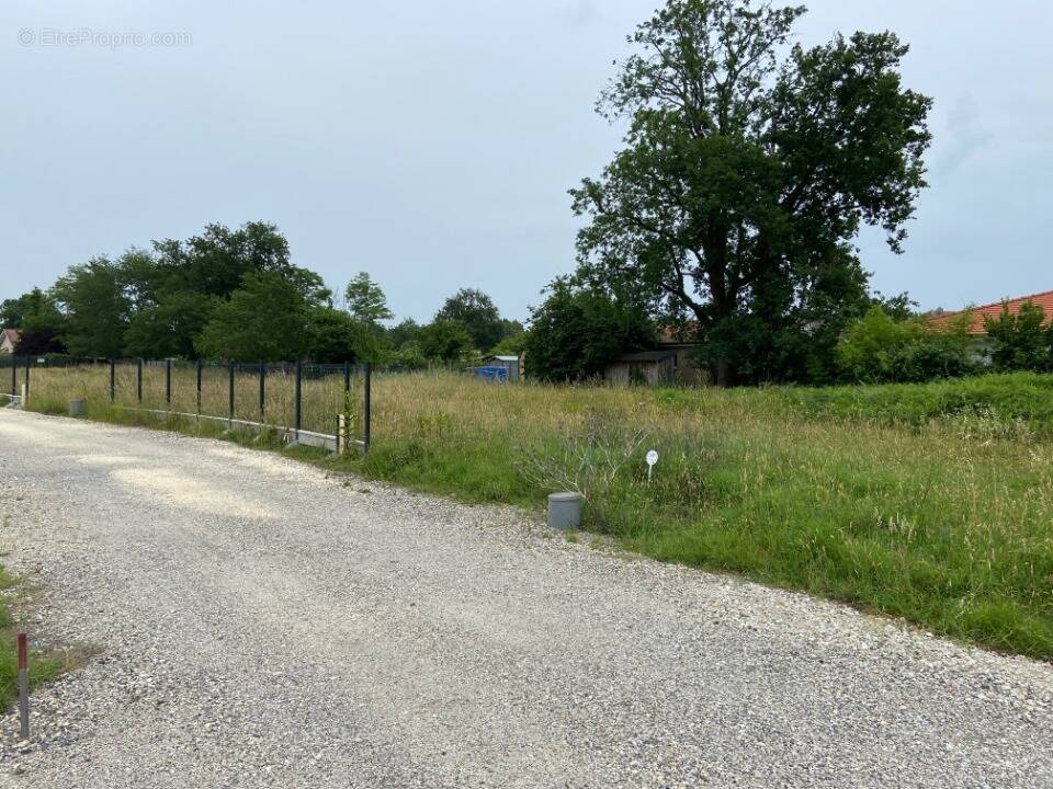 Terrain à SAINT-LAURENT-MEDOC