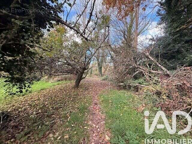 Photo 8 - Terrain à PLOZEVET