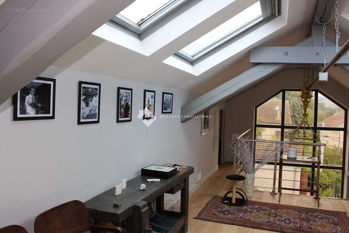 Maison 470 m² à Arthaz-Pont-Notre-Dame  - photo 8