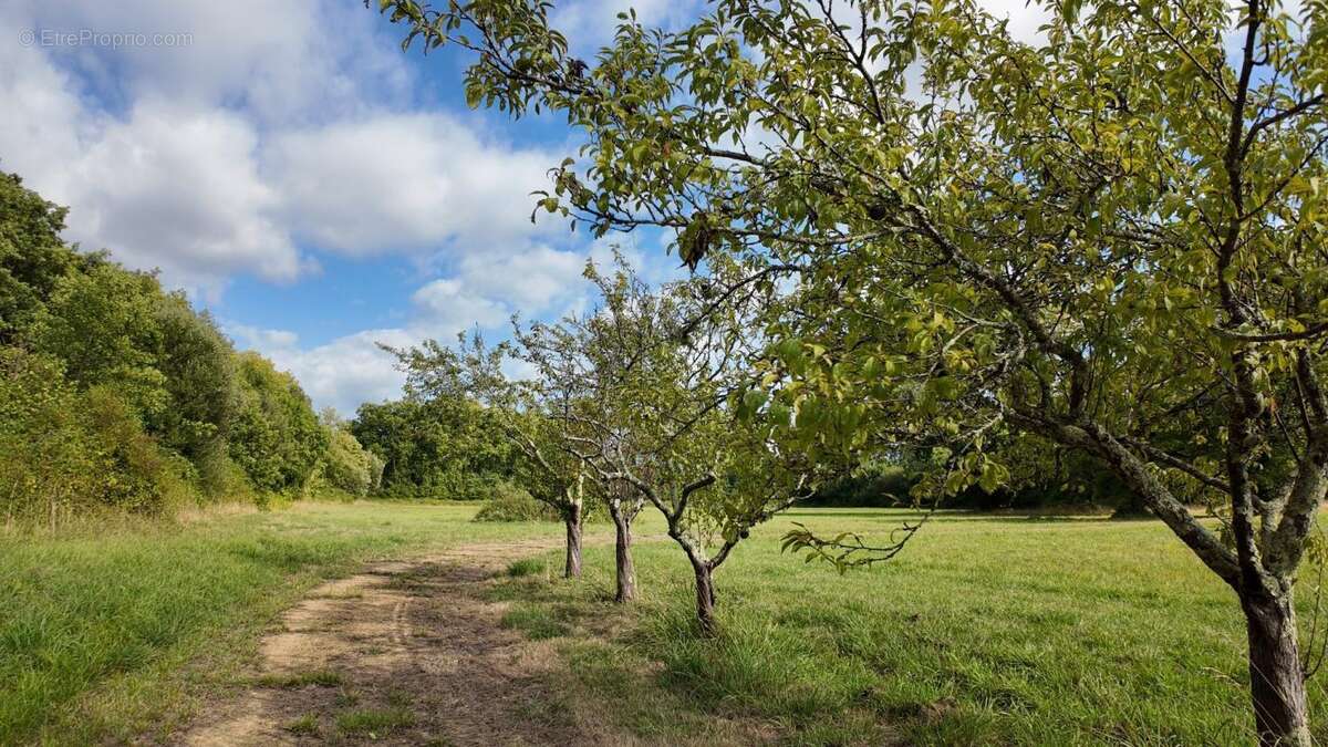 Maison à PEYREHORADE