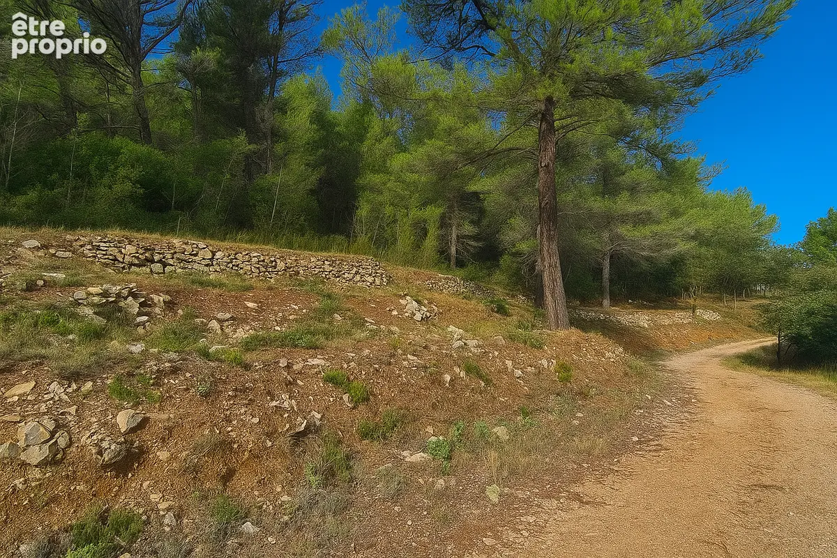 Terrain à SOLLIES-TOUCAS