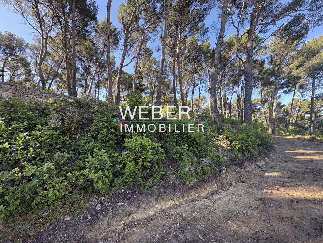 Ollioules - terrain a batir 6400 m2- vue degagee - photo 3