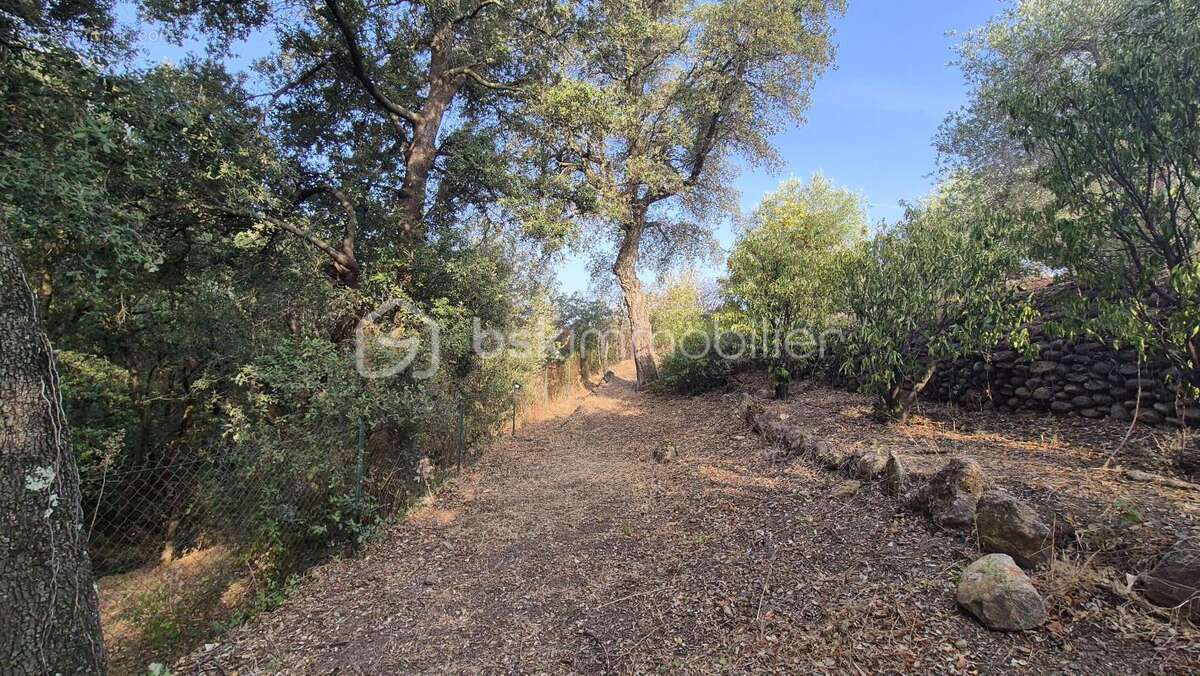 A vendre propriete mas de 170m² sur terrain de 12944m² cloture - le boulou - six chambres - climatisation reversible - garage -  - photo 23