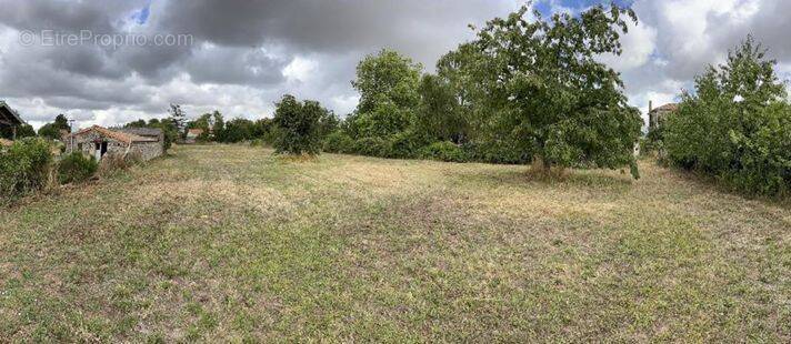 Terrain à CELLES-SUR-BELLE