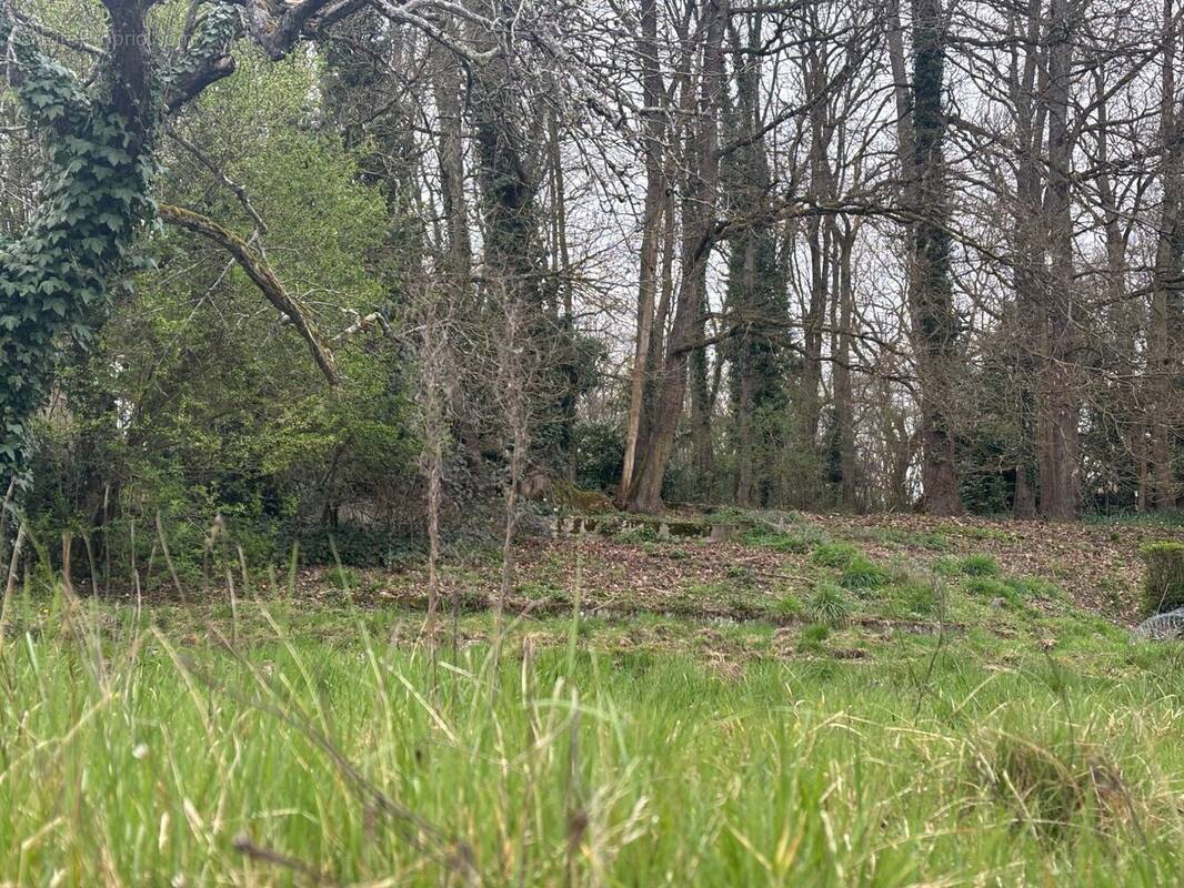 Terrain à SAINT-PIERRE-LES-NEMOURS