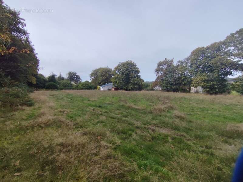 Terrain à SAINT-JACUT-LES-PINS