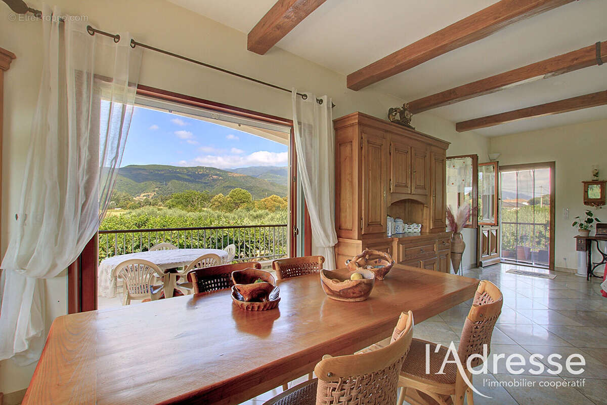 LUCCIANA  - propriété familiale de 202 m² au coeur d'une oliveraie - photo 7