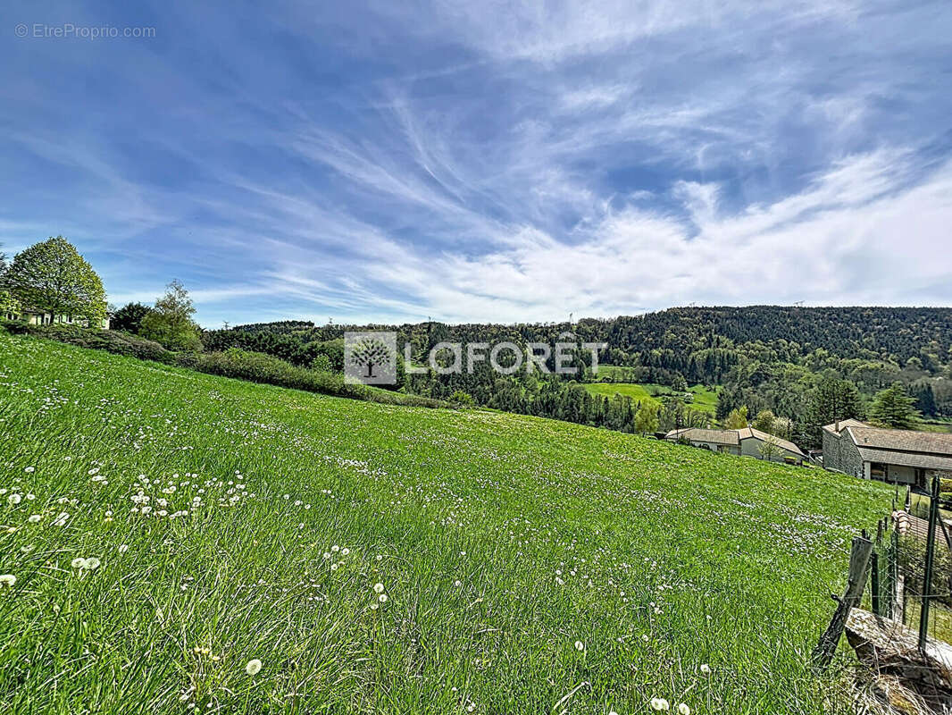 Terrain à POLIGNAC