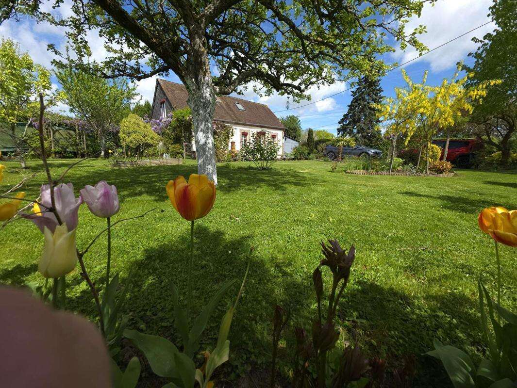 (61270 RAI )  4 km gare maison de campagne 2 chambres, sans travaux, terrain 820 m² - photo 7