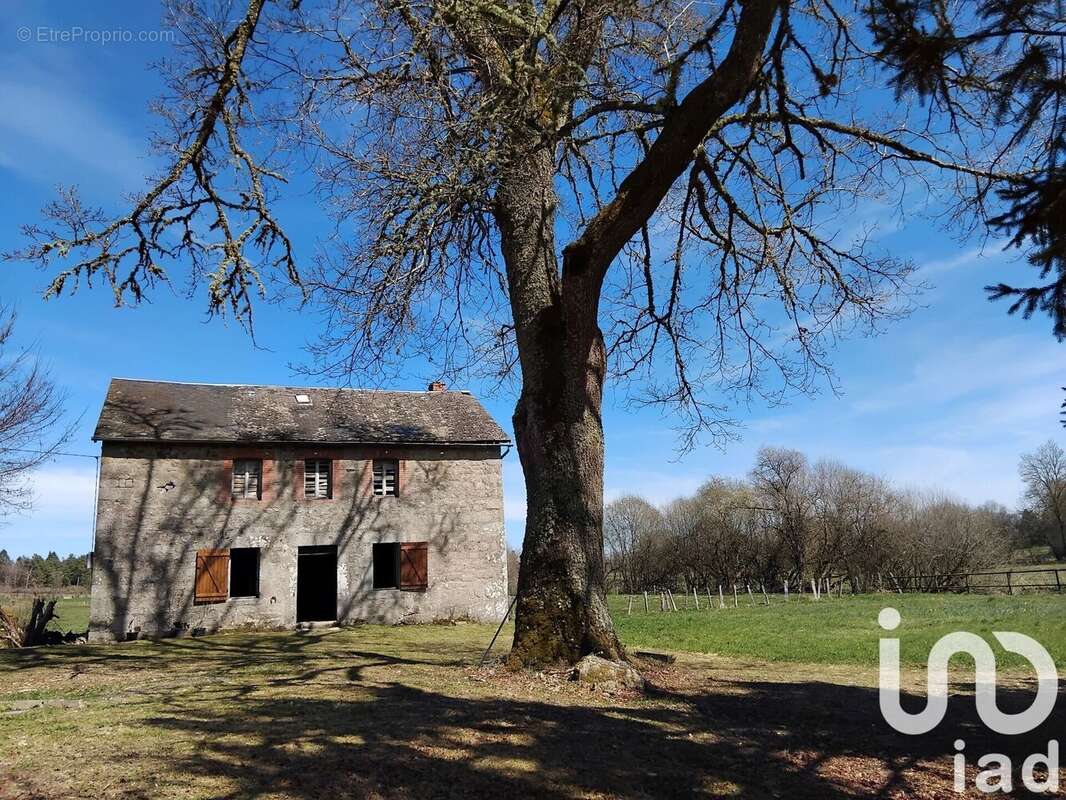 Photo 3 - Maison à FLAYAT