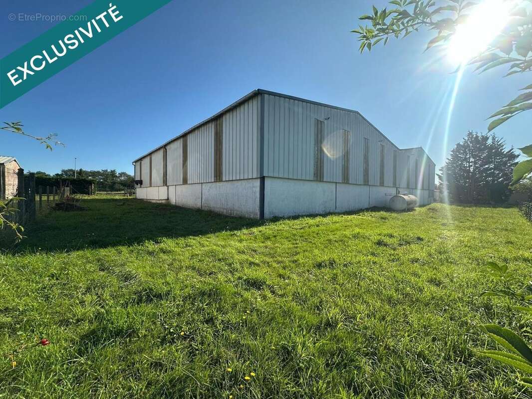 Photo 5 - Commerce à NEVOY