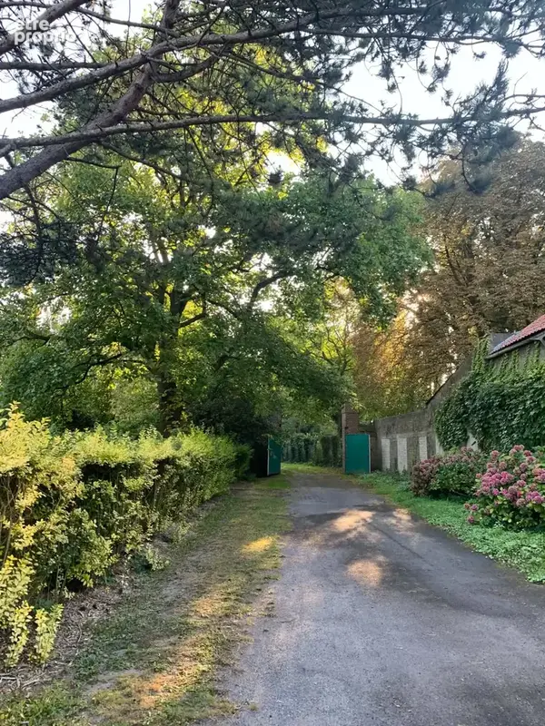 Propriété - 250 m2 habitable et dépendances - photo 26