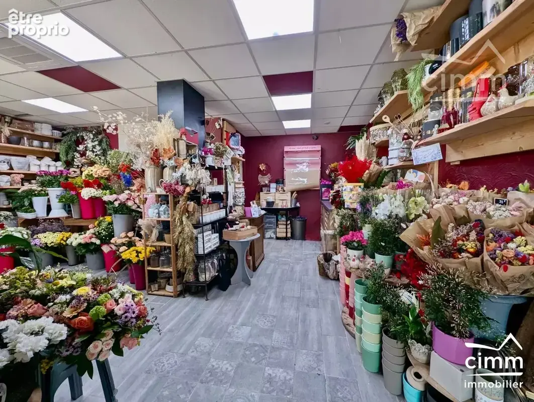 Fonds de commerce – fleuriste – saint-pierre-en-faucigny - photo 8