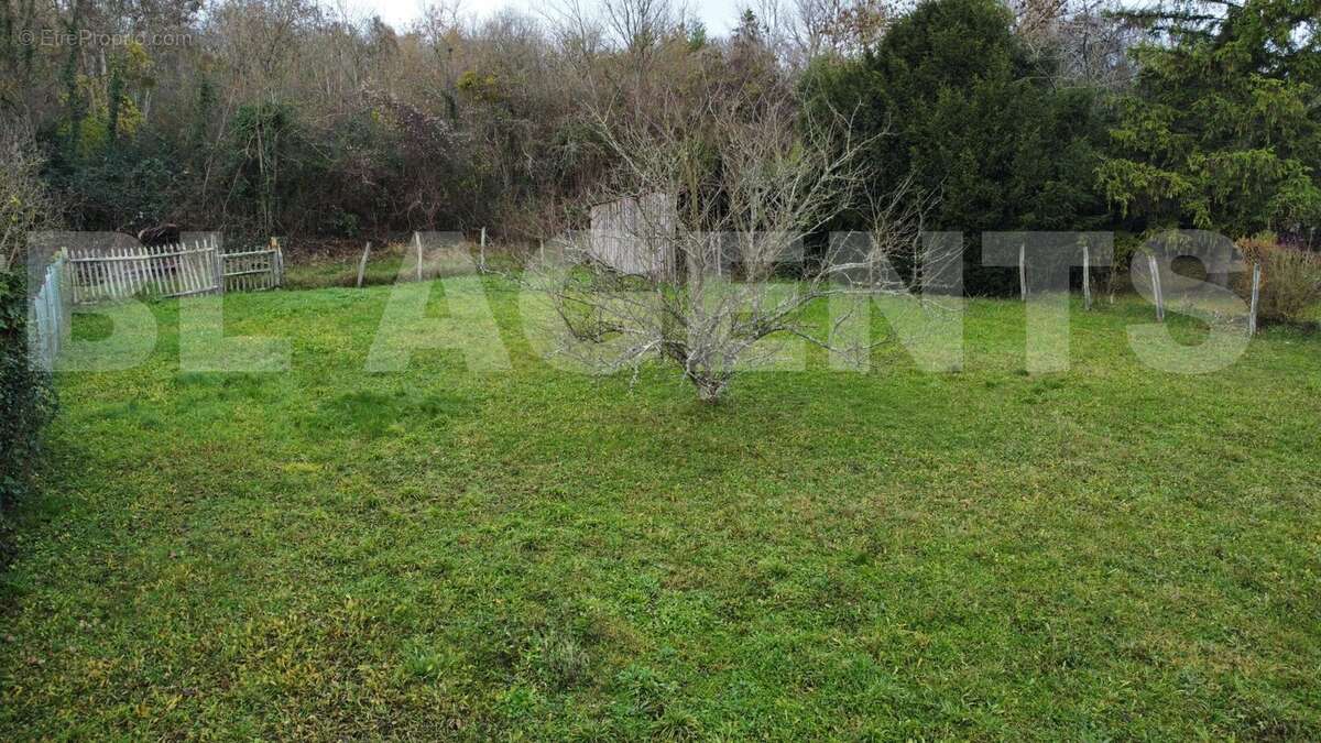 dji_fly_20251201_145936_275_1764597593453_photo_optimized - Terrain à DONNEMARIE-DONTILLY