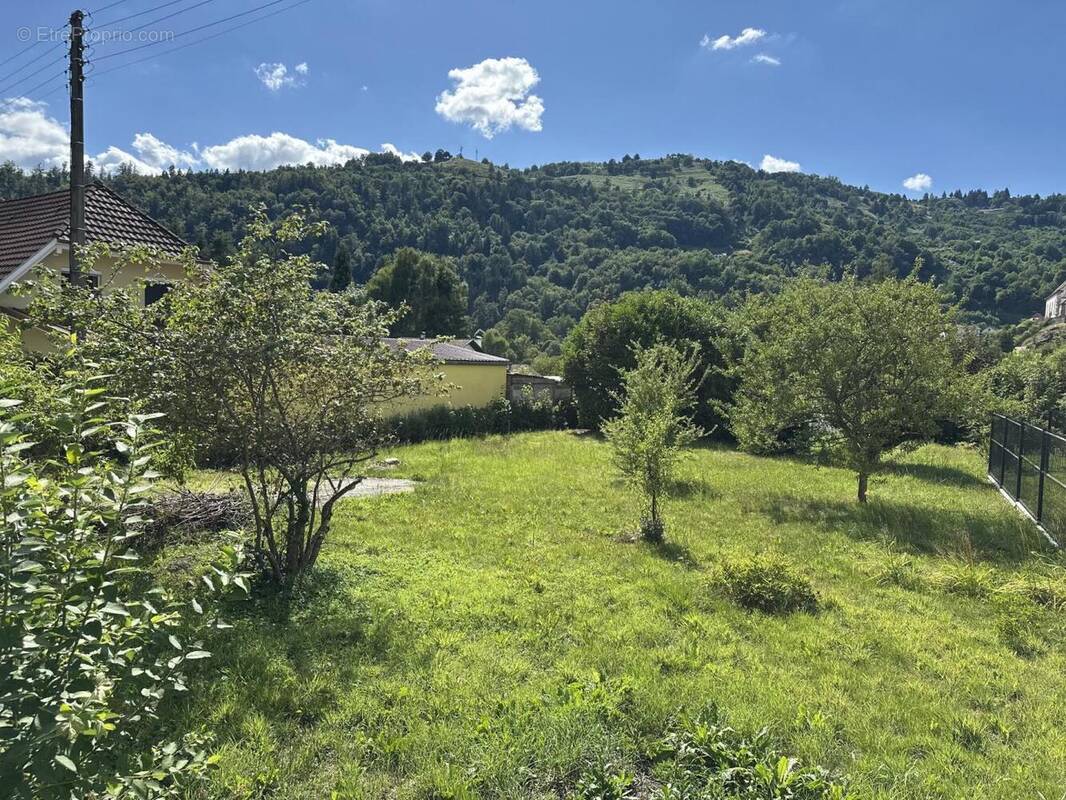 IMG_0342 - Terrain à ODEREN