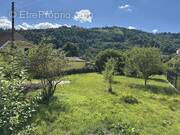 IMG_0342 - Terrain à ODEREN