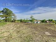 56317589a.jpg - Terrain à LAGOR