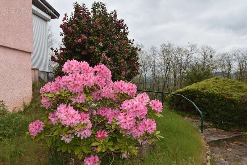 Maison à LA CLAYETTE