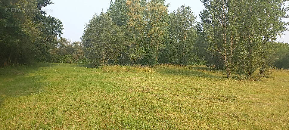 Terrain à MENESPLET