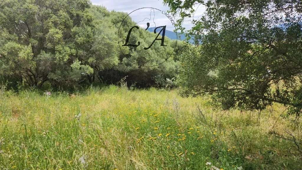 AFA – Terrain constructible de 1 270 m² – Vue campagne – Libre de constructeur - photo 3