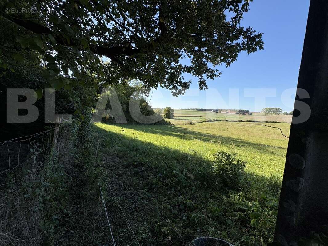 IMG_3052 - Maison à TREFOLS