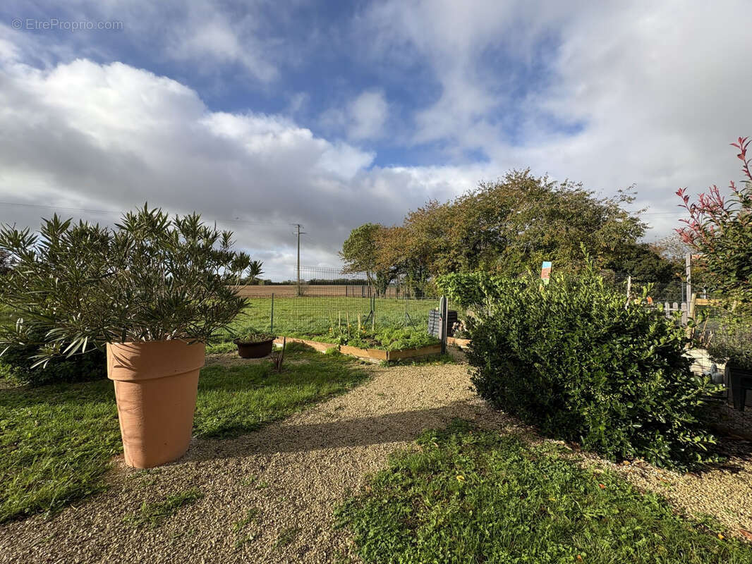 Maison à SAINT-SAUVEUR-D'AUNIS