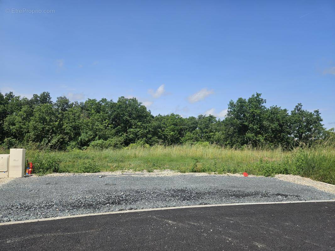 Terrain à CASTELNAU-DE-MONTMIRAL