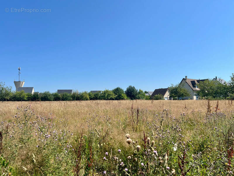 Heuland (14) – terrain à bâtir dans un écrin de verdure aux portes de la côte fleurie - photo 5