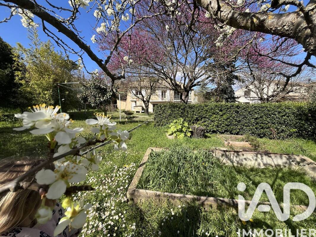 Photo 1 - Maison à SABRAN