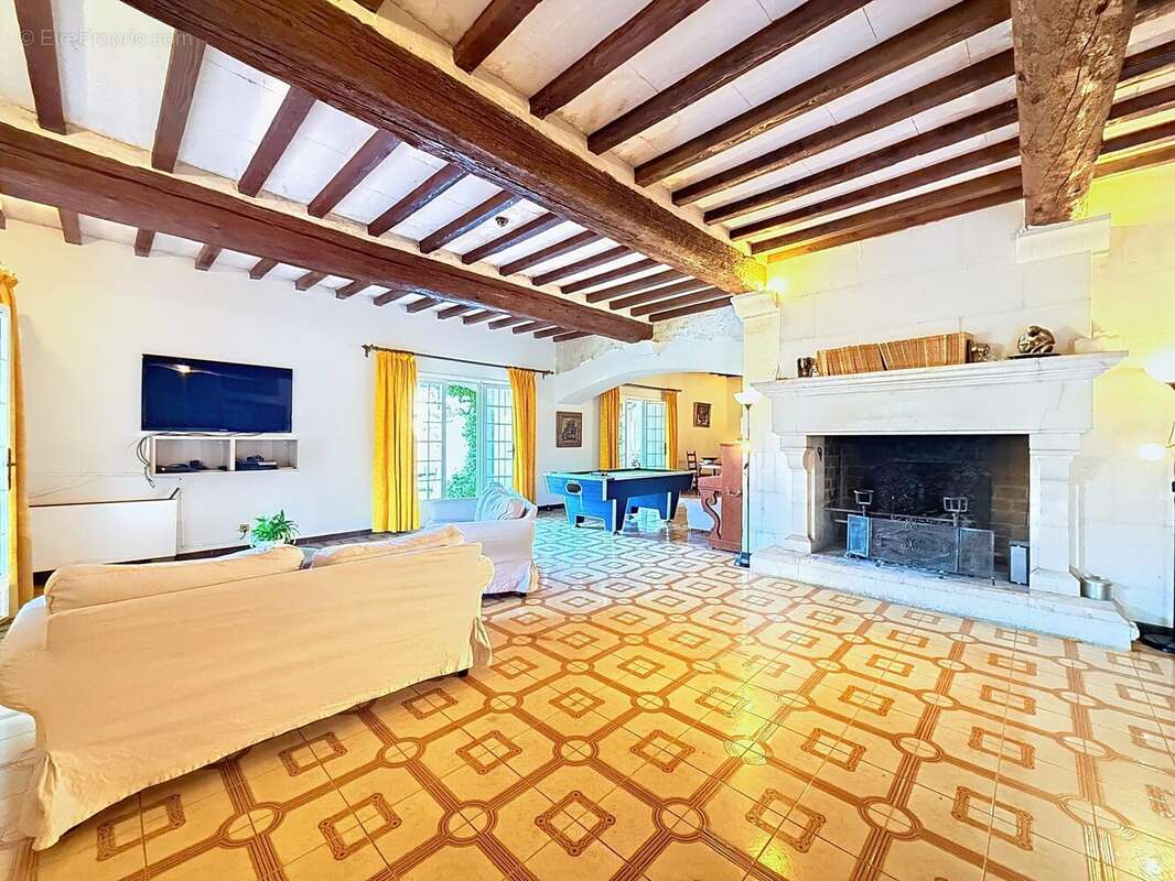 Maison 829 m² à Fontvieille  - photo 7