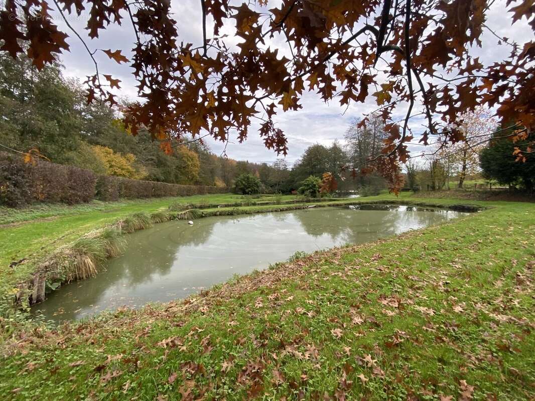 Maison à MORTAGNE-AU-PERCHE