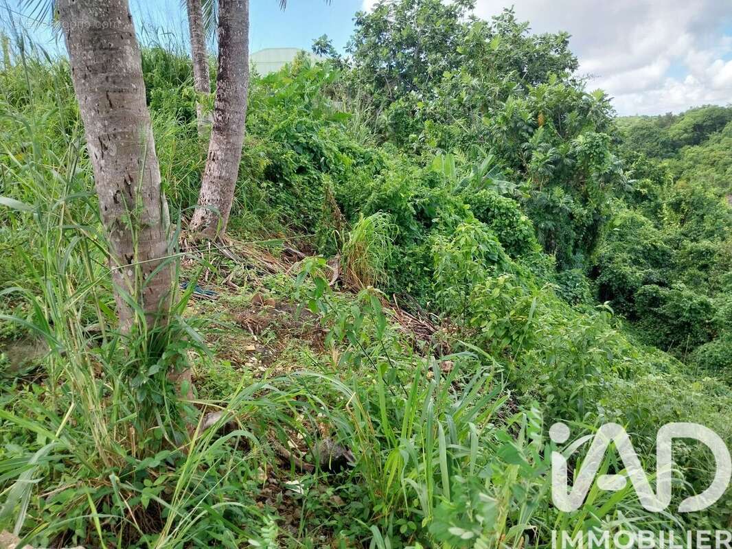 Photo 2 - Terrain à LE GOSIER