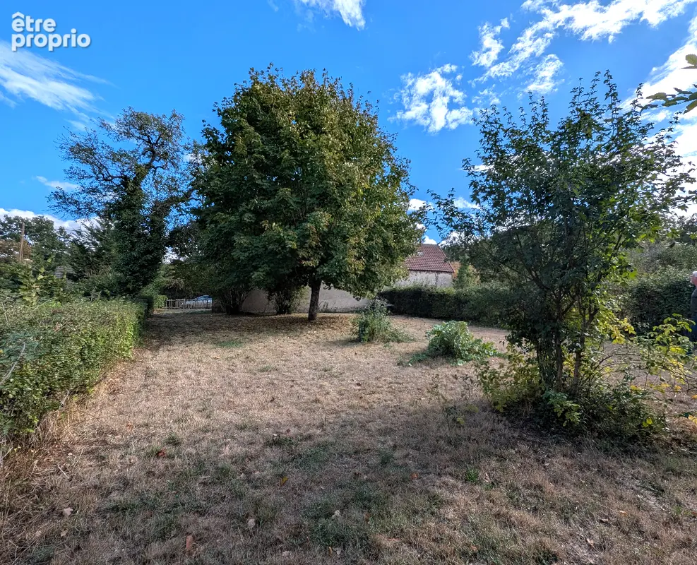 Cottage en forêt de Tronçais avec grange attenante  et autre terrain. - photo 15