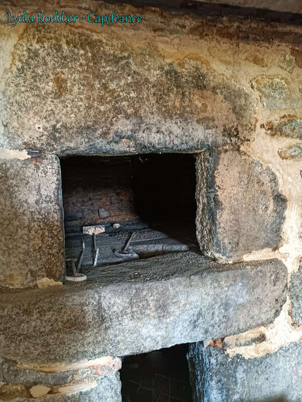 Fermette 10 pièces - grande grange - Rare à SAINT VICTOR MONTVIANEIX (63550) en Auvergne-Rhône Alpes - photo 9