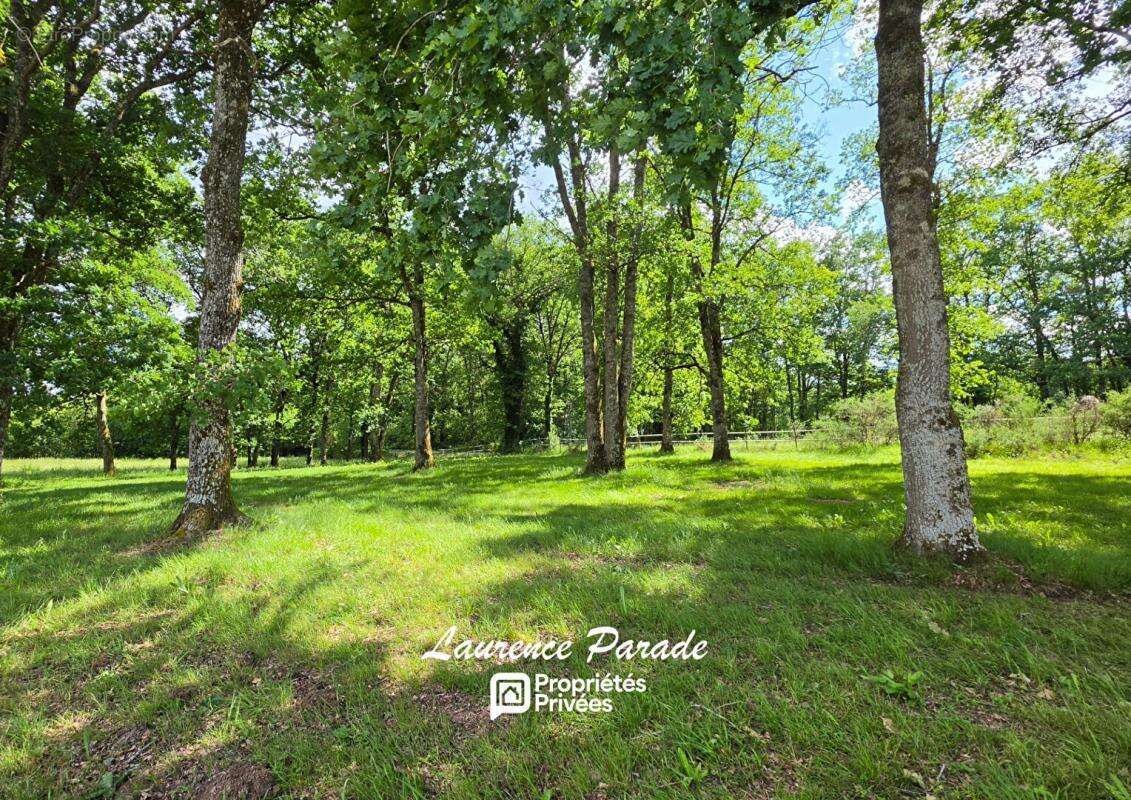 Propriété de charme avec gîte indépendant sur plus de 6 hectares clôturés - photo 10