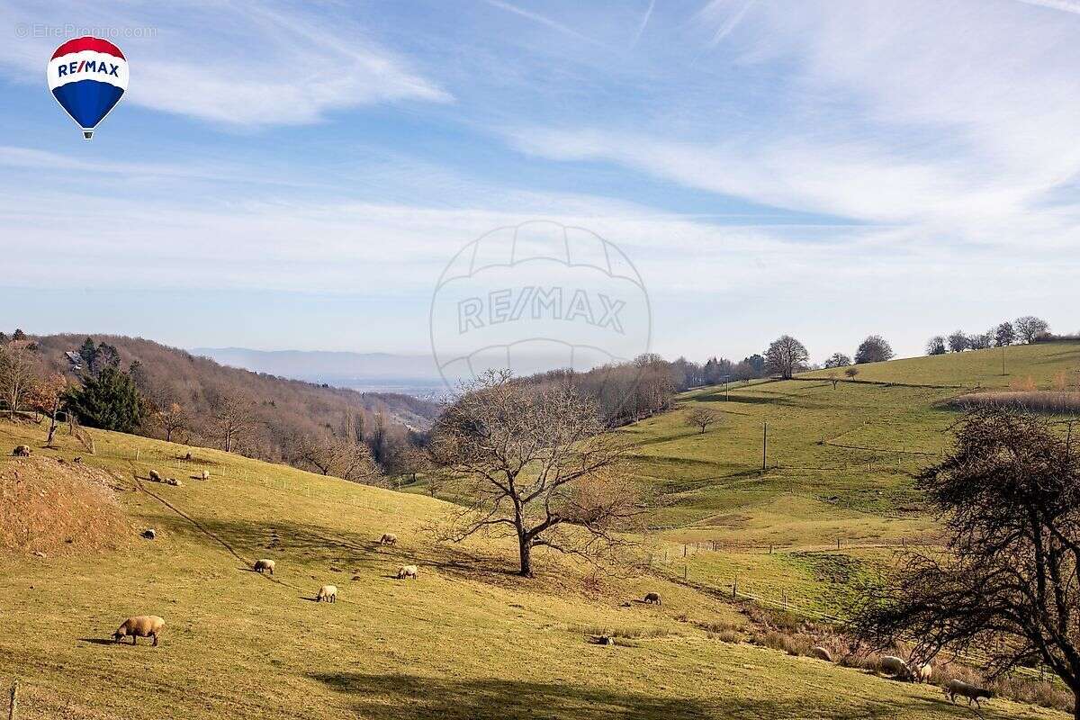Autre à RAMMERSMATT