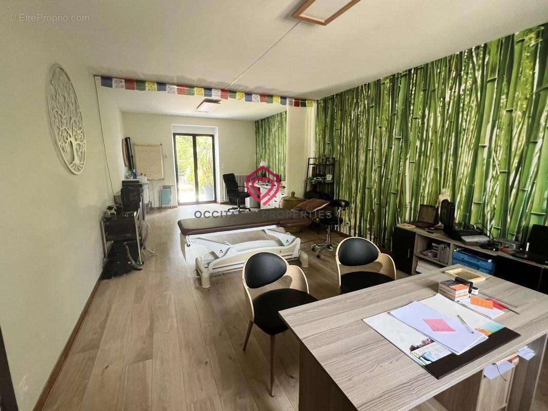 Élégante propriété de caractère renovée avec, jardin clos et gîtes aux portes de Castelnaudary - photo 29