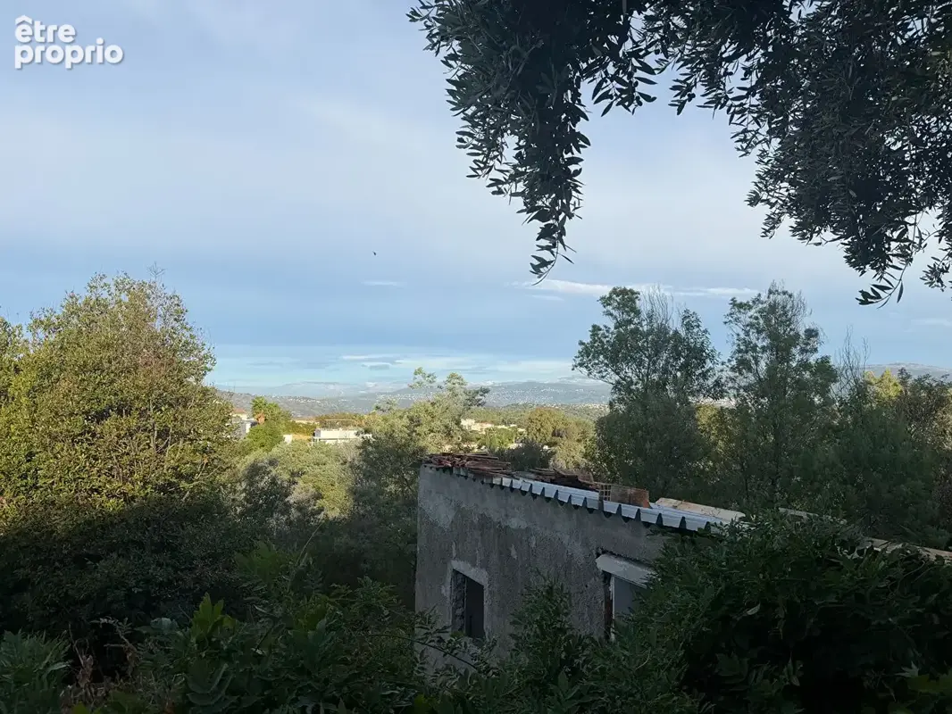 Cannes - croix-des-gardes  propriété à fort potentiel sur 3 920 m² - photo 9