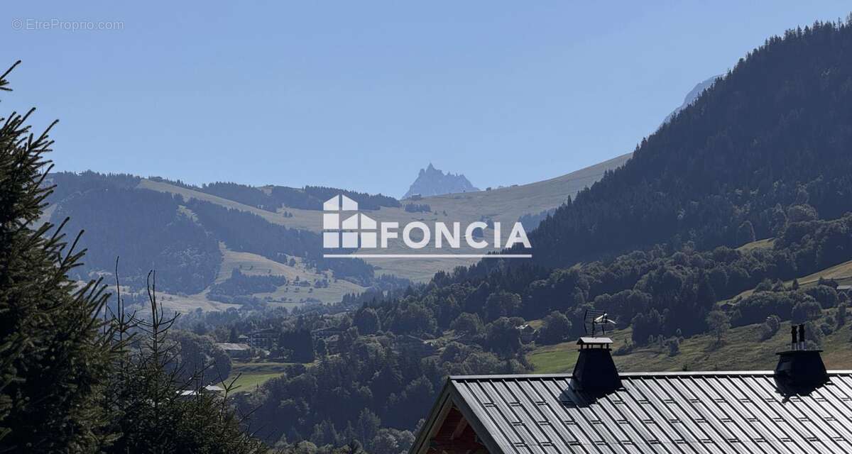 Appartement à PRAZ-SUR-ARLY