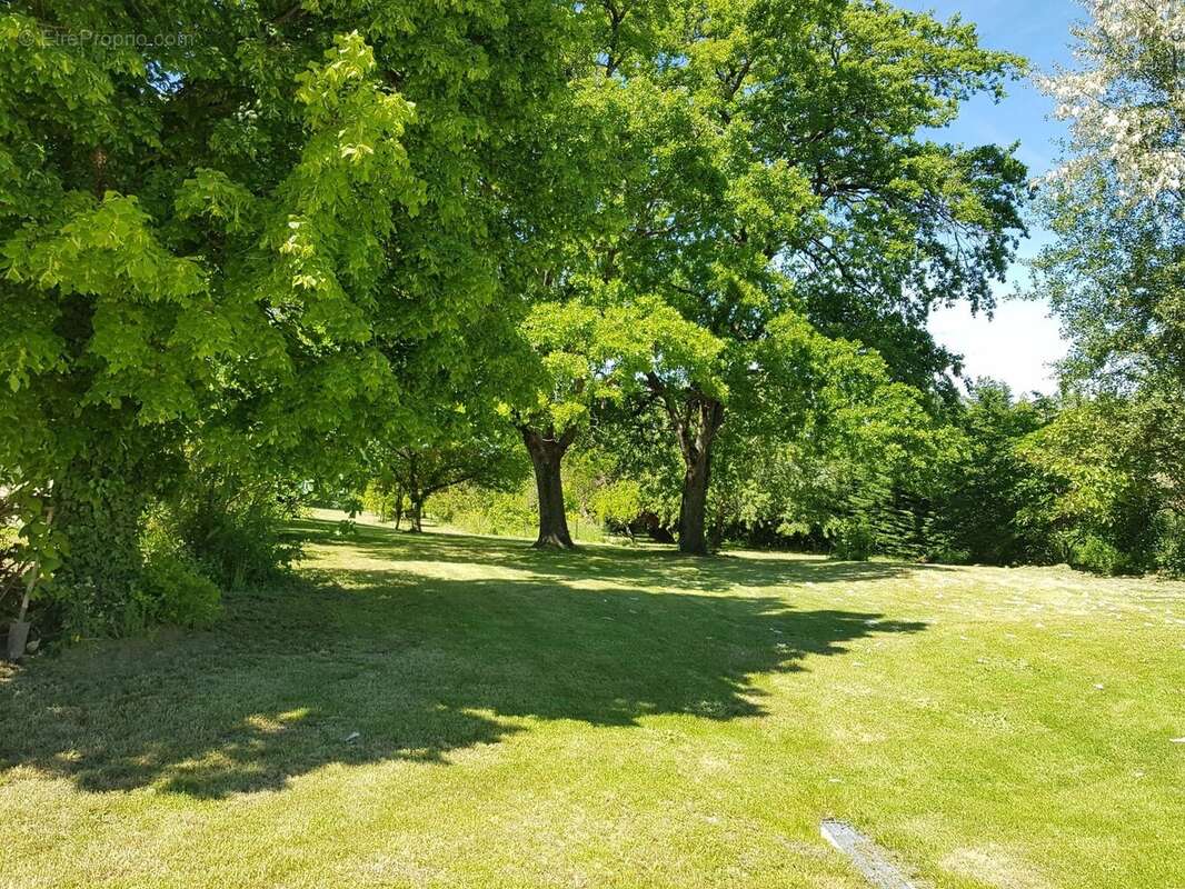 Propriété en pierre avec maison d'amis, piscine, dépendance et 1 hectare de terrain proche de Montaigu-de-Quercy (Tarn-et-Garonn - photo 16
